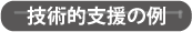 技術支援の例
