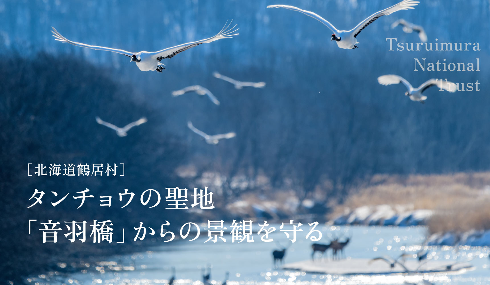 タンチョウの聖地「音羽橋」からの景観を守る