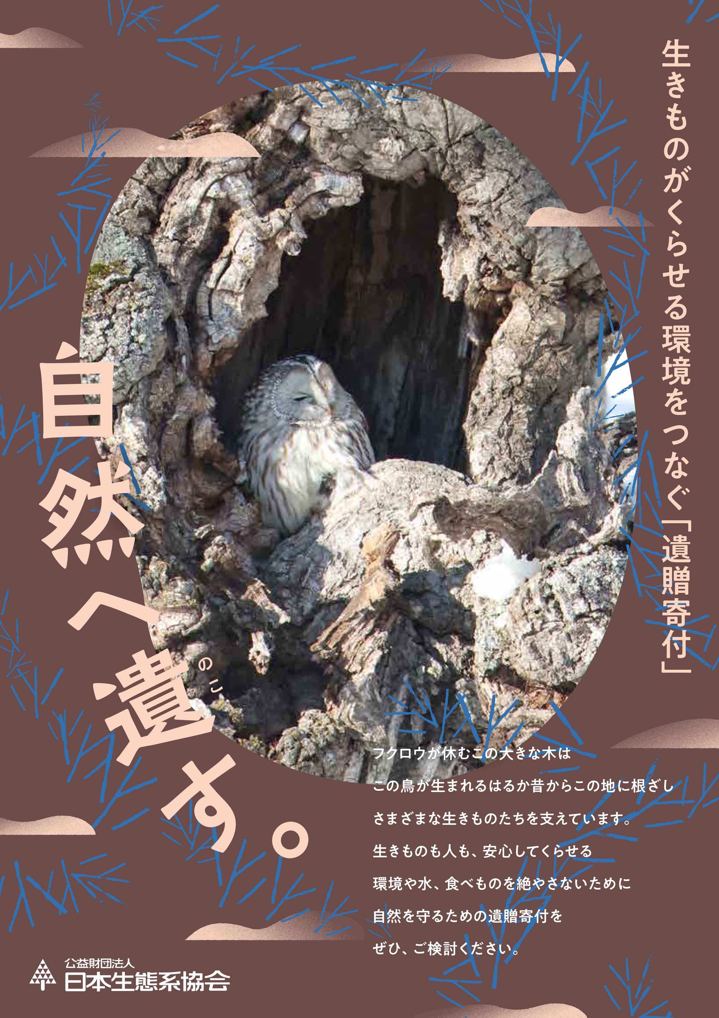 遺贈寄付