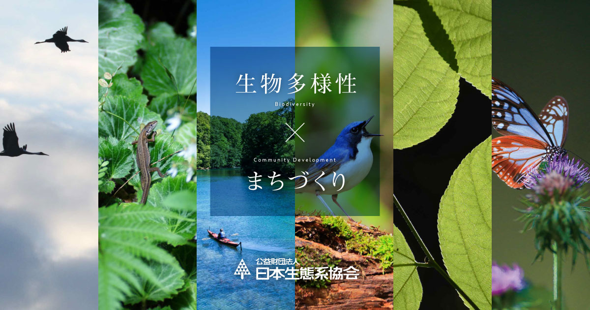 日本生態系協会｜生物多様性とまちづくり